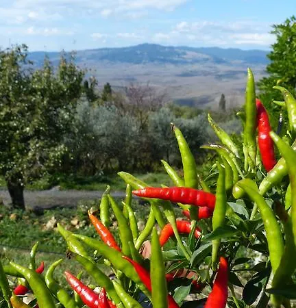 Agriturismo Rifugio Dei Sogni Alojamento de Acomodação e Pequeno-almoço
