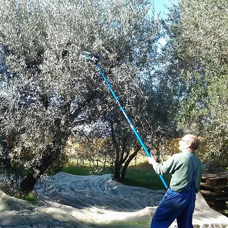 Agriturismo Rifugio Dei Sogni Volterra